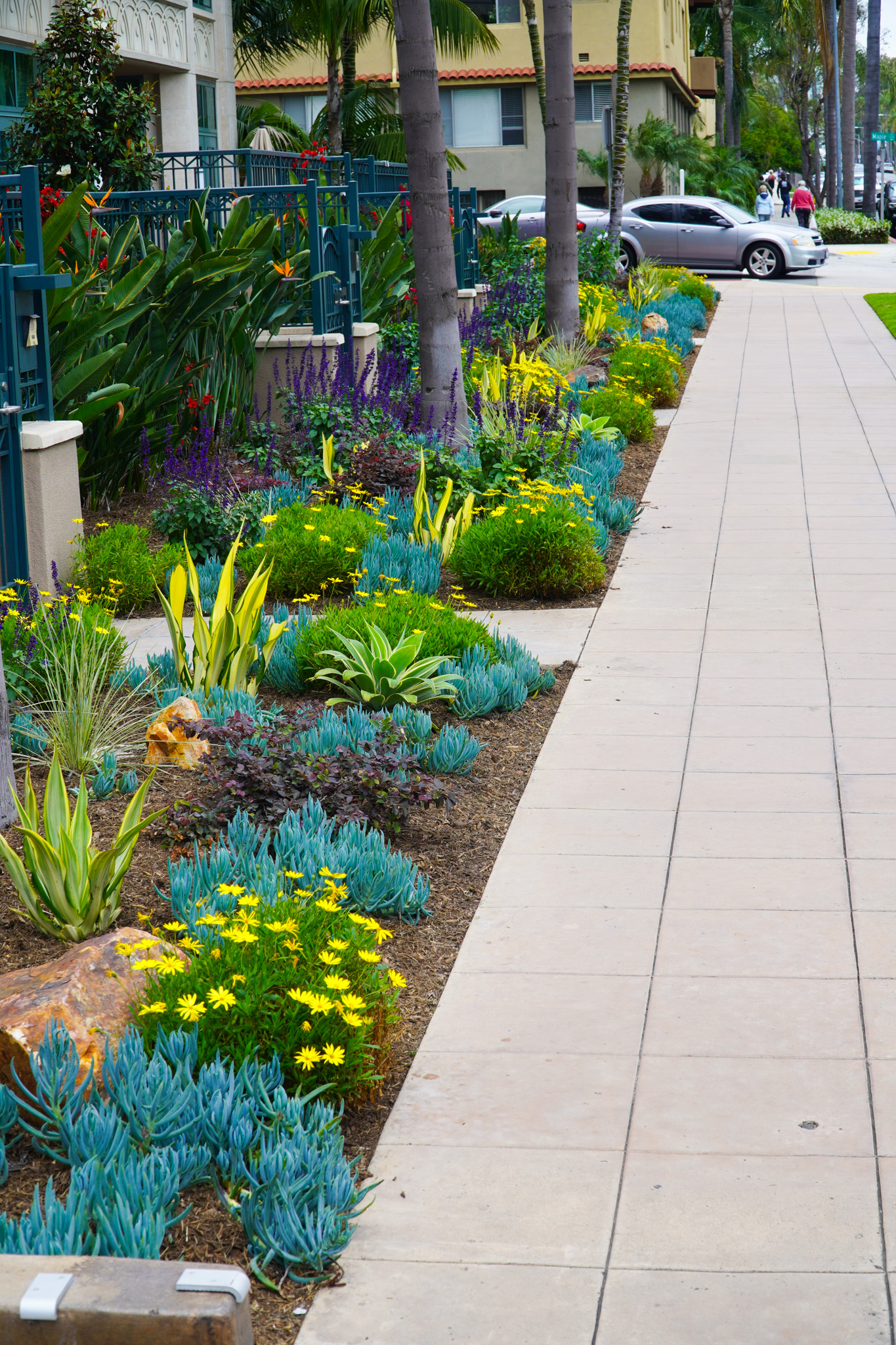 Pacific Green Landscaping Gallery Image 9