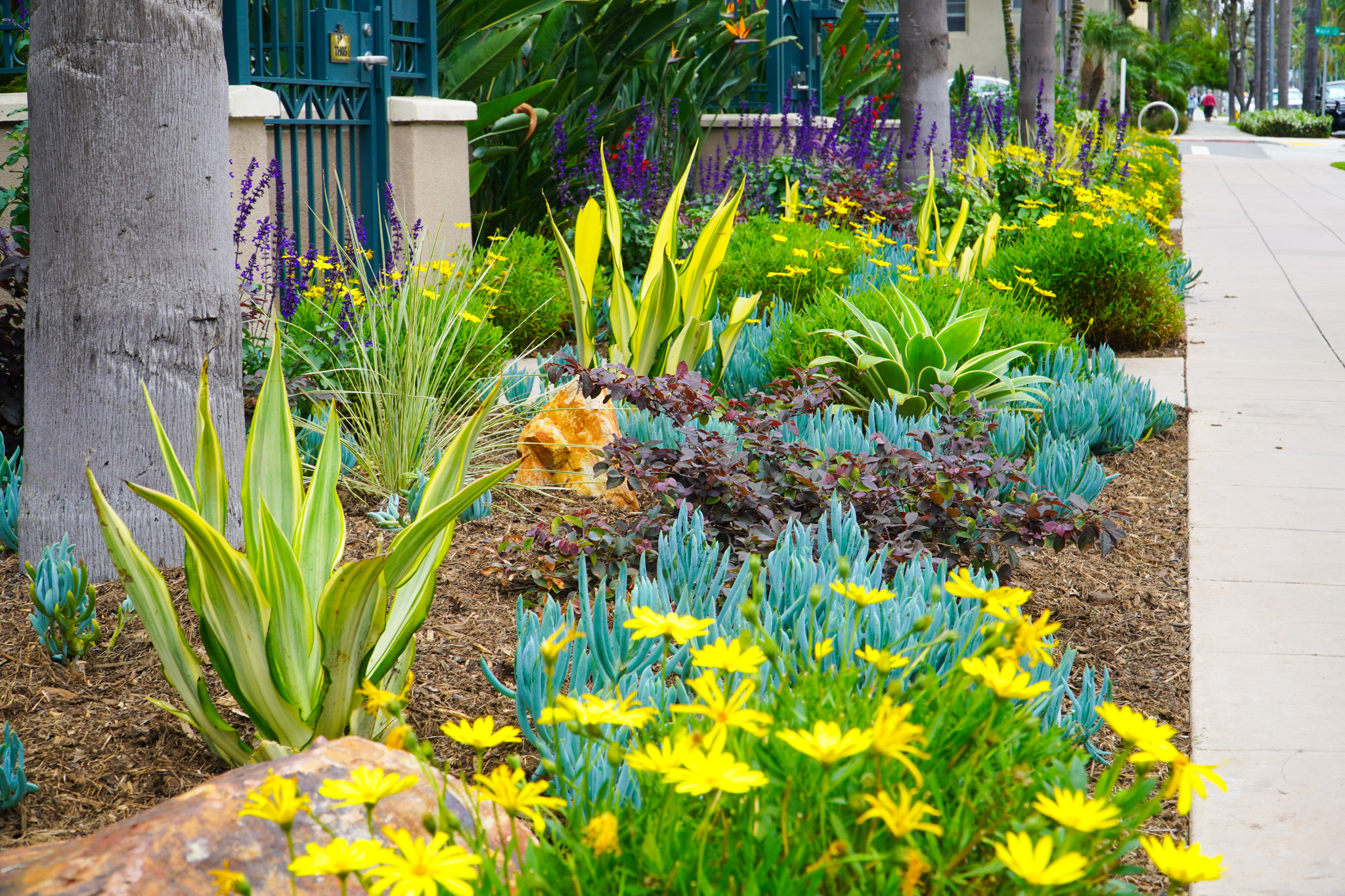 Pacific Green Landscaping Gallery Image 31