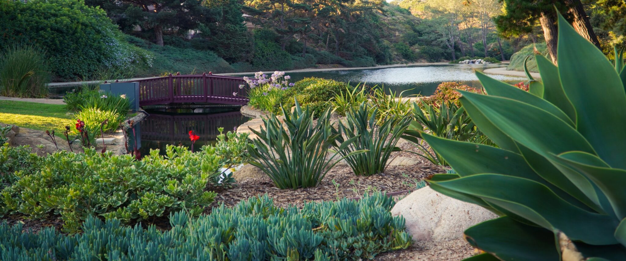 Home Pacific Green Landscaping