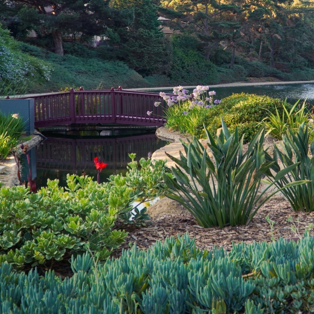 Digging deep pacific green landscaping