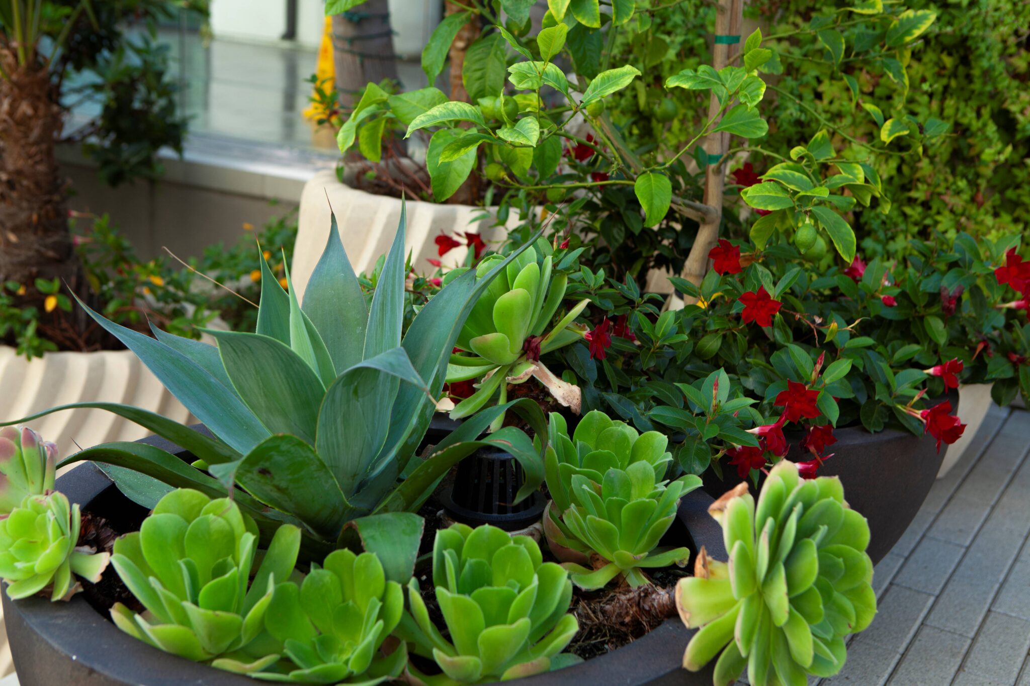 Home Pacific Green Landscaping